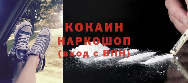 соль ск Няндома