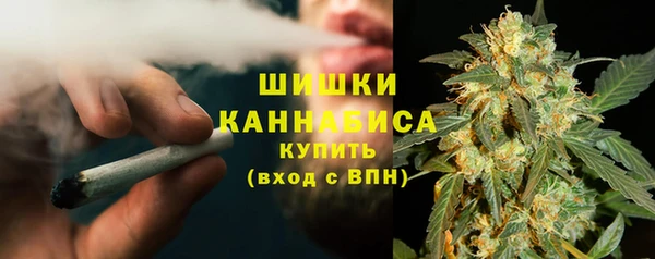 твердый Нягань
