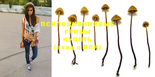 соль ск Няндома