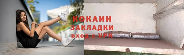 соль ск Няндома