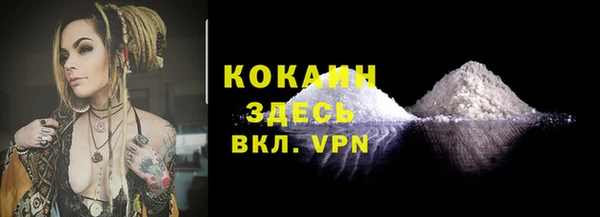метадон Новодвинск