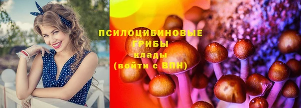 соль ск Няндома
